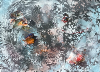 Podivuhodný svět perutýnů, 50x70 cm